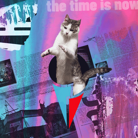 Digital Marketing Cat GIF by Astralón