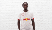 Rb Leipzig Football GIF by Bundesliga