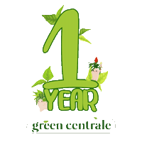 greencentraleph plants anniversary greencentrale greencentraleph Sticker