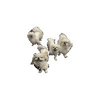 Team Pekingese Sticker by Caravan of Paws