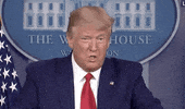 Donald Trump GIF