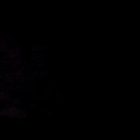 spojnia stargard spojniagifs GIF by GoSpójnia!