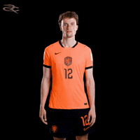 Fifa World Cup Uefa GIF by Respective