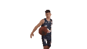 Sport Basketball Sticker by HAKRO Merlins Crailsheim
