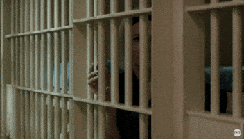 Tapping Season 3 GIF by Animal Kingdom on TNT