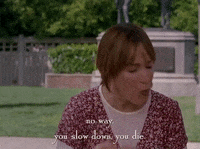 season 4 netflix GIF by Gilmore Girls 
