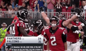 atlanta falcons football GIF by NFL