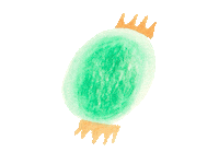 Christmas Fruit Sticker