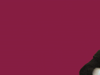 Entrance Comeback GIF by KINO