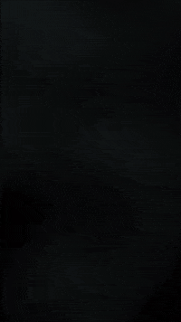 Dragonsawards GIF by MSUM Dragons