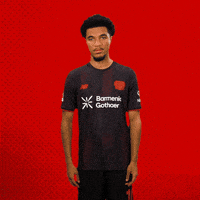 Bayer 04 Bundesliga GIF by Bayer 04 Leverkusen