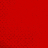 Bayer 04 Bundesliga GIF by Bayer 04 Leverkusen