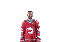 Hockey Trinec Sticker by HC Oceláři Třinec
