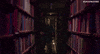 Scared Library GIF by Ghostbusters