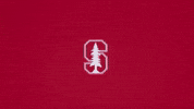 Excited Baseball GIF by Stanford Athletics