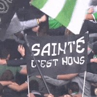 fans ultra GIF by AS Saint-Etienne