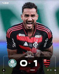 Flamengo GIF