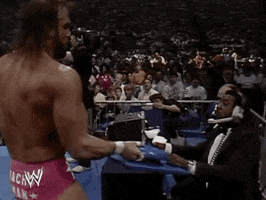 randy savage wrestling GIF by WWE
