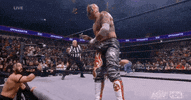 Rey Fenix Wrestling GIF by AEWonTV