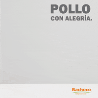 BachocoMX happy smile excited chicken GIF