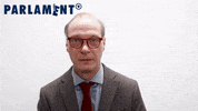 Eu Parlament Thumbs Up GIF by Studio Hamburg Serienwerft GmbH