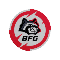 Money Crypto Sticker by BetFury