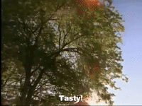 season 3 GIF