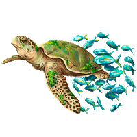 Turtles Fauna Sticker by Todo Fresa