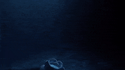 Manta Ray Ocean GIF by PBS