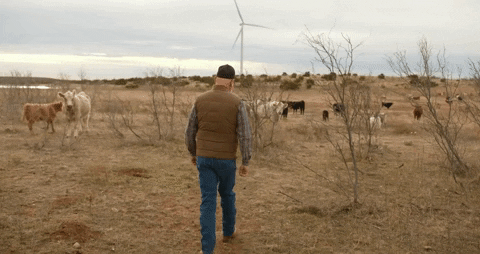 BantamCommunications giphyupload texas farmer windmill GIF
