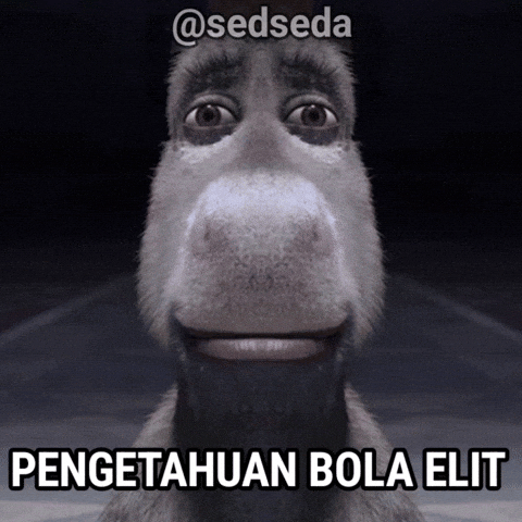 Sedseda GIF