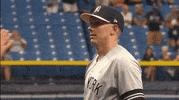 Jomboy  GIF