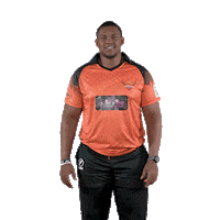 sunriserseasterncape cricket sec sisi sunrisers Sticker