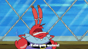 season 9 episode 26 GIF by SpongeBob SquarePants