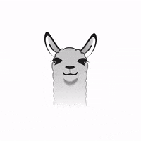 Fashion Omg GIF by PETA