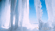 america wild film GIF by Visit The USA FR