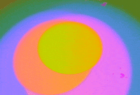 Pink Colors GIF by The Griffith Absurdatory