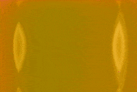 Pink Colors GIF by The Griffith Absurdatory