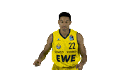 Ewe Baskets Basketball Sticker by EWE Baskets Oldenburg