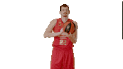 Liga Endesa Spinning Sticker by ACB