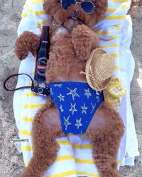 Sunbathing Fourth Of July GIF by Respective