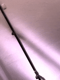 framebeta GIF