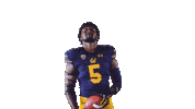 Ncaa Football Go Bears Sticker by Cal Athletics
