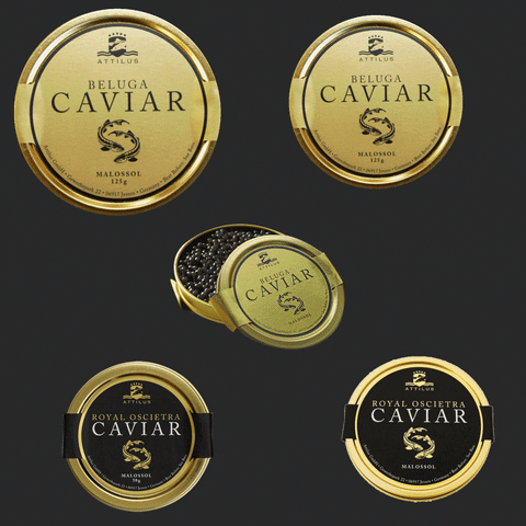 Attilus_caviar giphyupload royal caviar sturgeon GIF