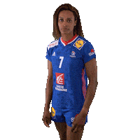 Allison Pineau Ffhandball Sticker by Fédération Française de Handball