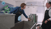 Dream Team GIF
