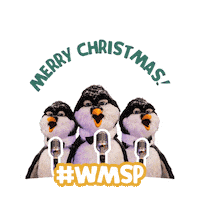 Sticker by WMSP