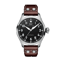 Iwcwatches Sticker by IWC Schaffhausen
