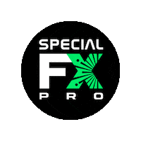 FioreFx logo special special effects specialfx Sticker