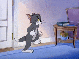 tom and jerry wow GIF